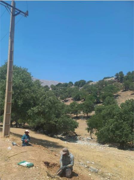 اجرای شبکه برق سایت‌ تلفن همراه روستاهای آب گرمک گوزنان و اشکفت سیاه
